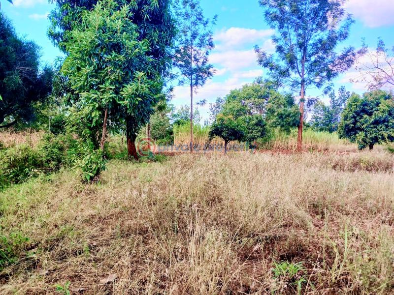 Commercial Land For Sale Makuyu Muranga - 4