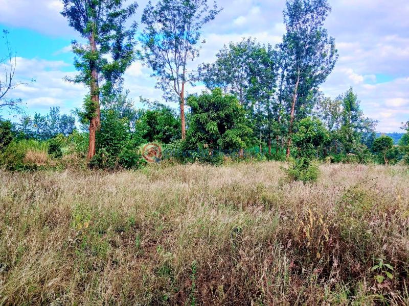 Commercial Land For Sale Makuyu Muranga - 6