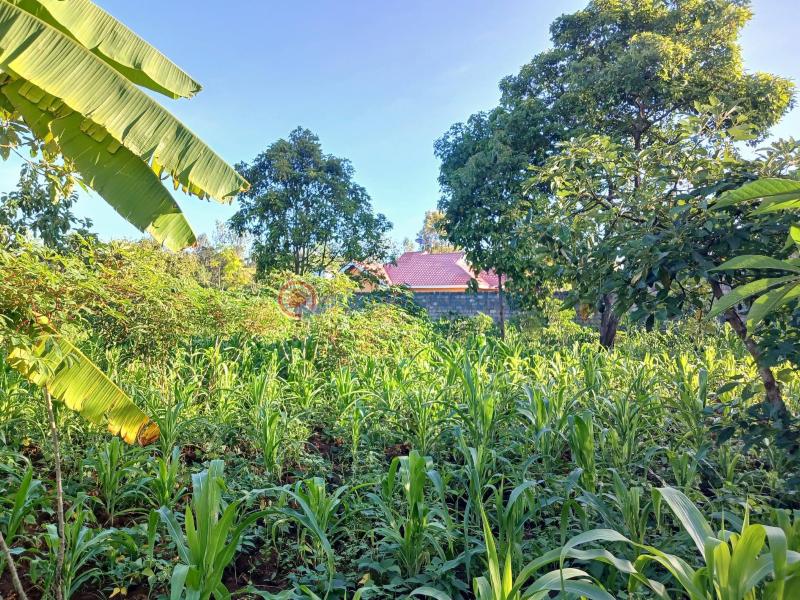 Commercial Property For Sale Makuyu, Murang’a murang'a County. Makuyu Muranga - 3