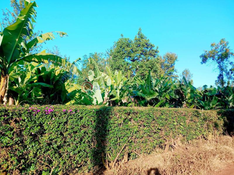 Commercial Property For Sale Makuyu, Murang’a murang'a County. Makuyu Muranga - 7
