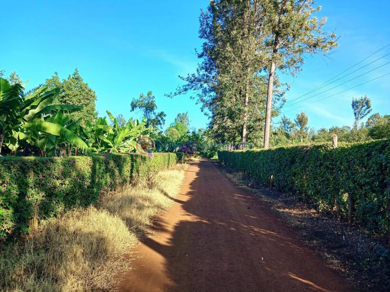 Commercial Property For Sale Makuyu, Murang’a murang'a County. Makuyu Muranga - 1