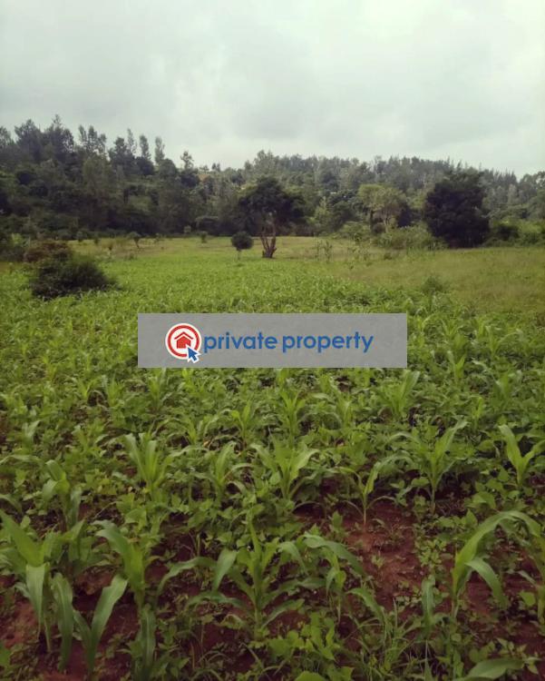 Mixed use Land For Sale &nbsp;maragua Murang&acirc;a County. Makuyu Muranga - 4