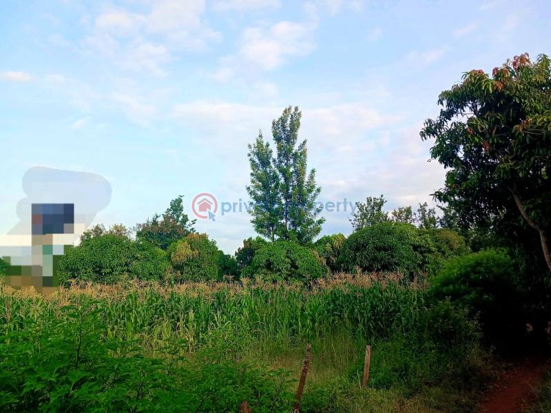 Commercial Property For Sale Maragua Ridge Maragua. Makuyu Muranga - 9
