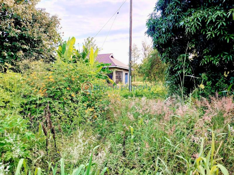 Industrial Land For Sale Makuyu Muranga - 1