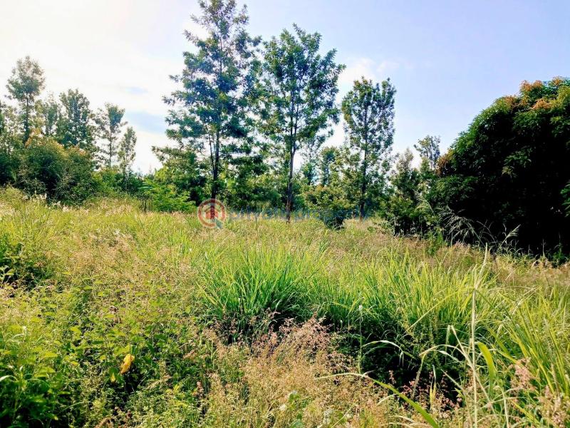 Industrial Land For Sale Makuyu Muranga - 4