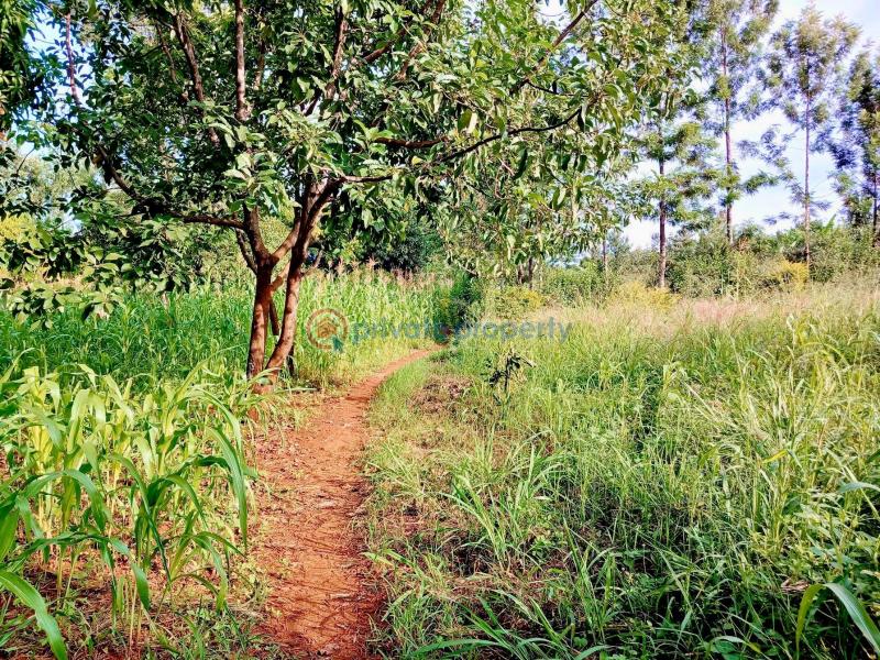 Industrial Land For Sale Makuyu Muranga - 5