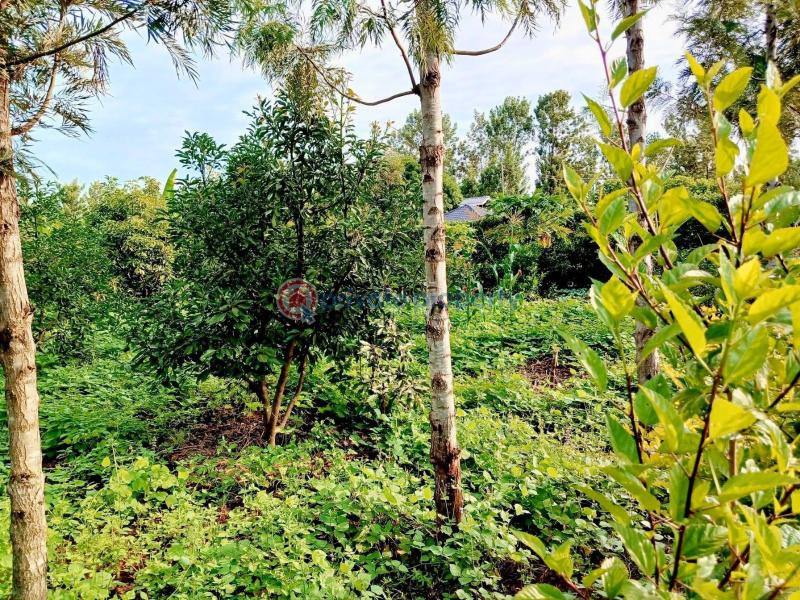 Industrial Land For Sale Makuyu Muranga - 2