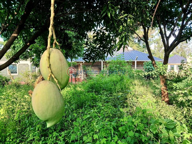Commercial Property For Sale Maragua Ridge Maragua. Makuyu Muranga - 1