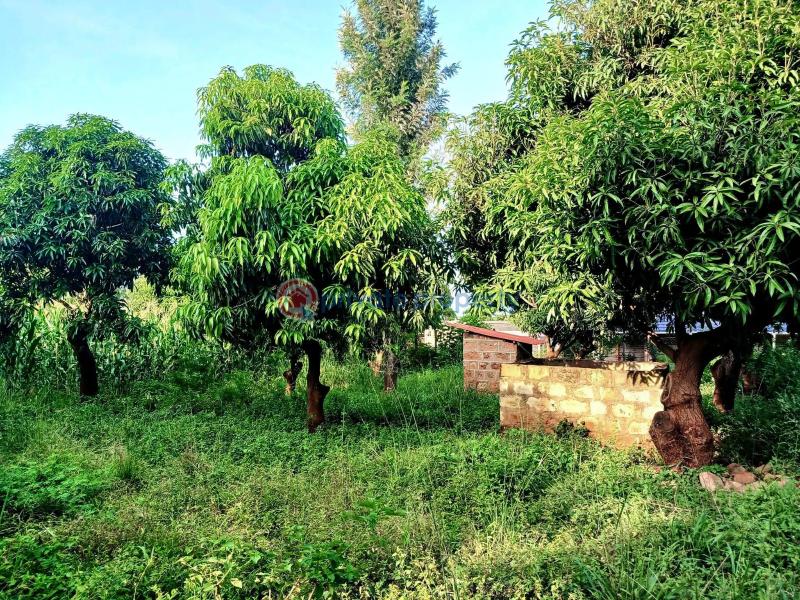 Commercial Property For Sale Maragua Ridge Maragua. Makuyu Muranga - 8