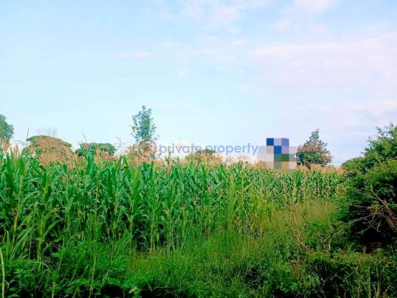 Commercial Property For Sale Maragua Ridge Maragua. Makuyu Muranga - 6