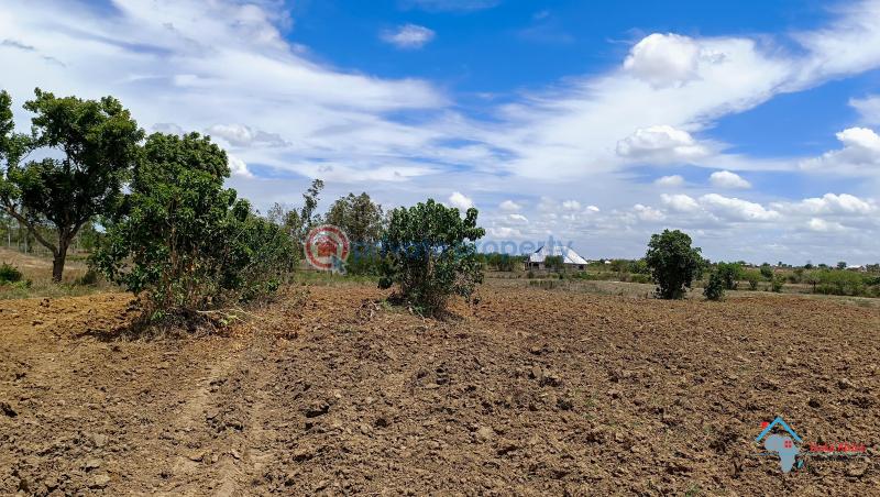 Land For Sale Kadzonzo Madzimbani Mavueni Bypass Mariakani Kilifi - 8