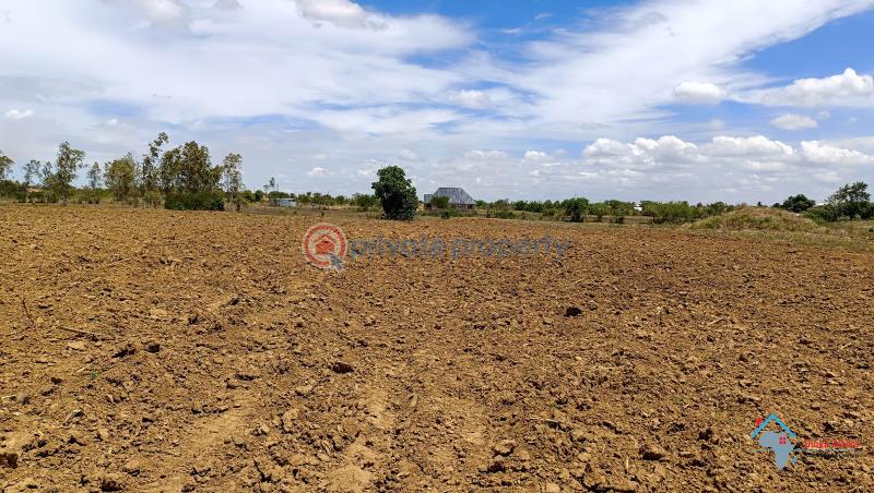 Land For Sale Kadzonzo Madzimbani Mavueni Bypass Mariakani Kilifi - 3
