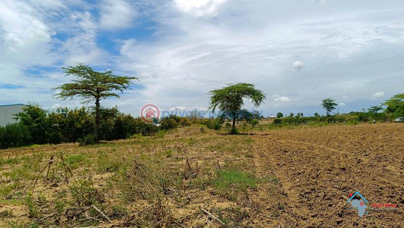 Land For Sale Kadzonzo Madzimbani Mavueni Bypass Mariakani Kilifi - 4