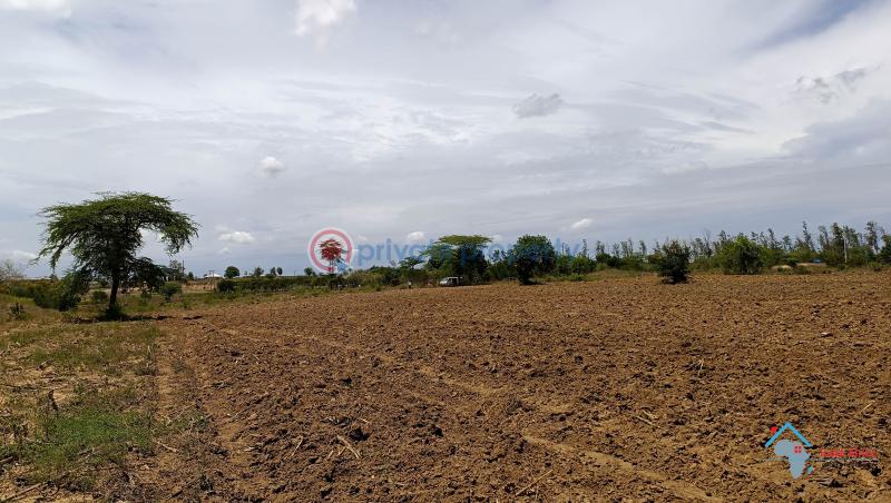 Land For Sale Kadzonzo Madzimbani Mavueni Bypass Mariakani Kilifi - 9