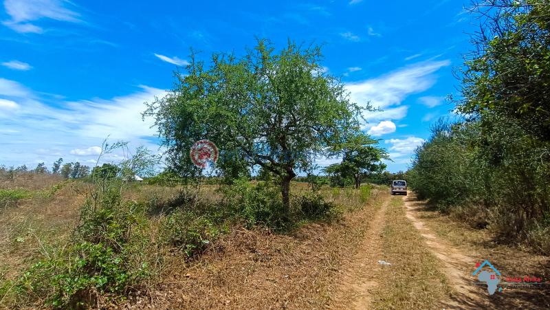 Land For Sale Kadzonzo Madzimbani Mavueni Bypass Mariakani Kilifi - 5