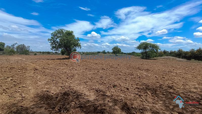 Land For Sale Kadzonzo Madzimbani Mavueni Bypass Mariakani Kilifi - 7