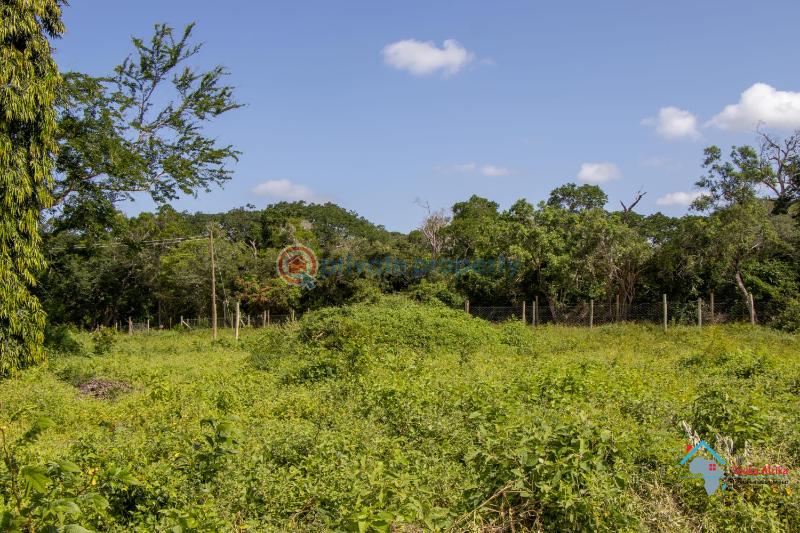 Land For Sale Mariakani Kilifi - 9