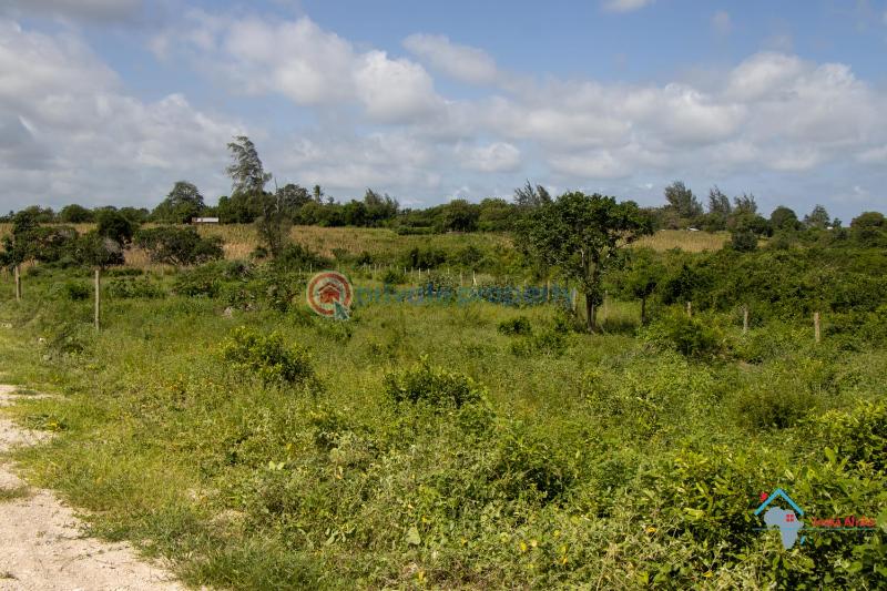 Land For Sale Mariakani Kilifi - 1