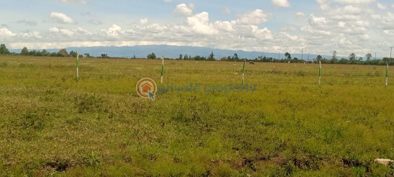 Residential Land For Sale Mirera (sweetwaters), Nanyuki Nanyuki Laikipia - 3