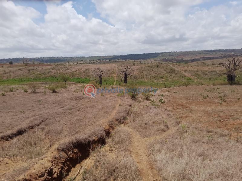 1 bedroom Mixed use Land For Sale Mavueni Mnarani Kilifi - 2