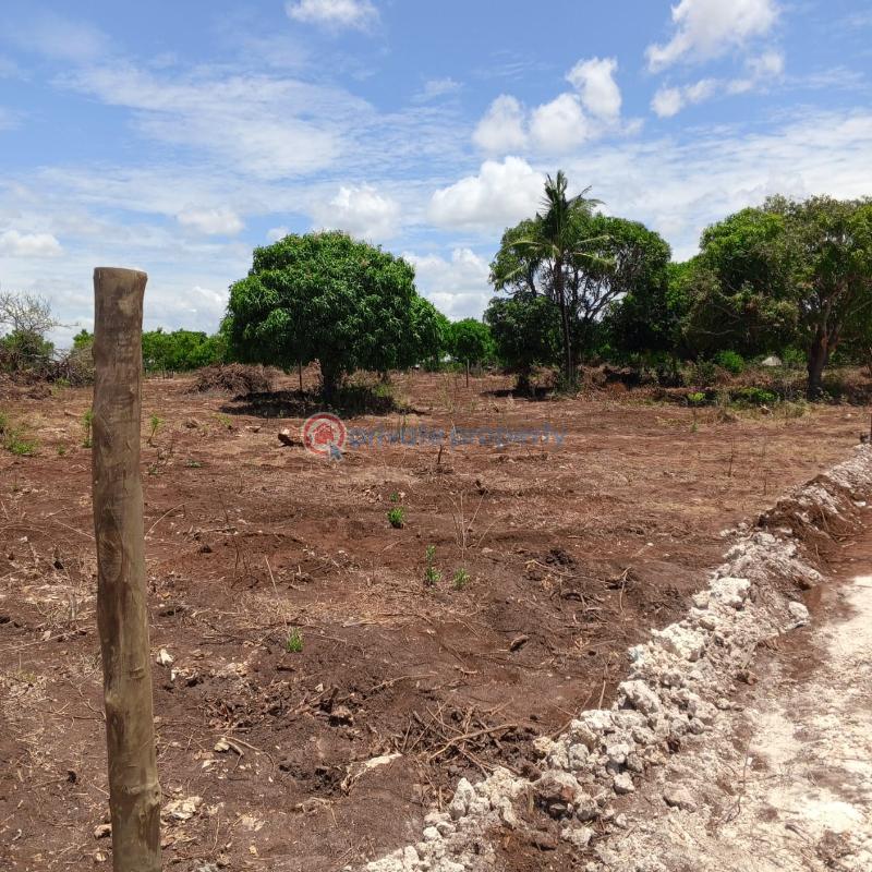 Residential Land For Sale Kizingo Police Station Msabaha Malindi Town Kilifi - 14