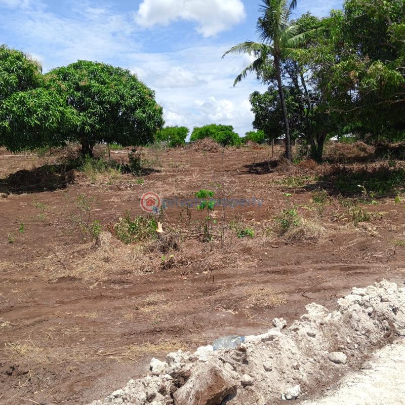 Residential Land For Sale Kizingo Police Station Msabaha Malindi Town Kilifi - 9