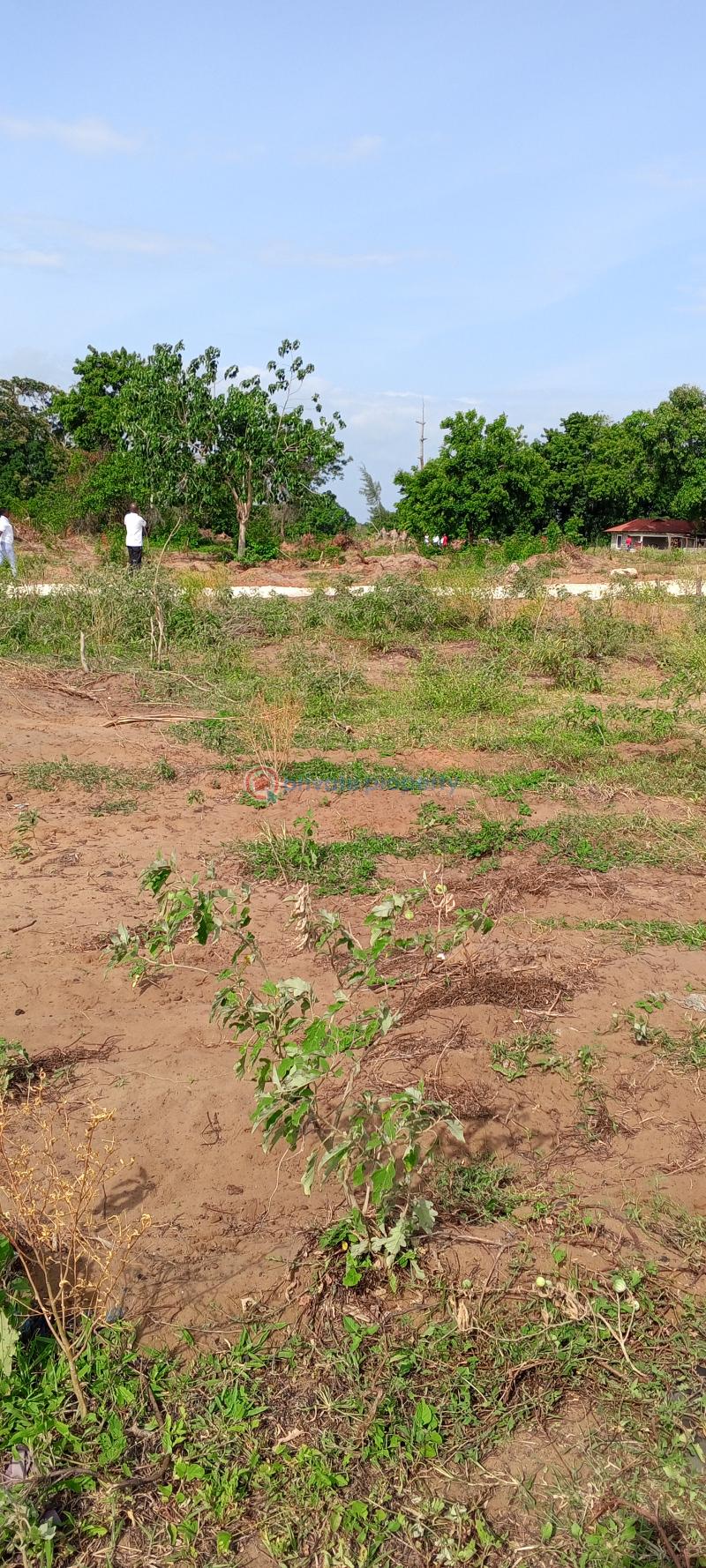 Mixed use Land For Sale Children Of The Rising Sun Msabaha Malindi Town Kilifi - 7