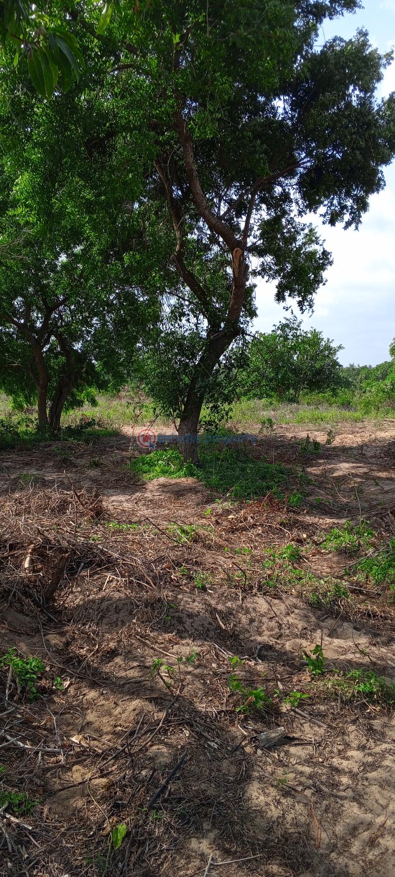 Mixed use Land For Sale Children Of The Rising Sun Msabaha Malindi Town Kilifi - 9