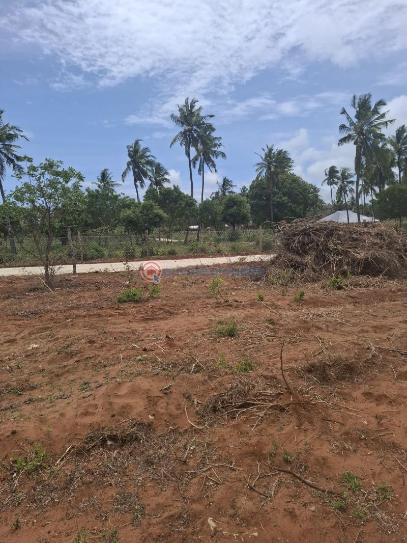 Land For Sale Mtondia, Kilifi Mtwapa Kilifi - 3