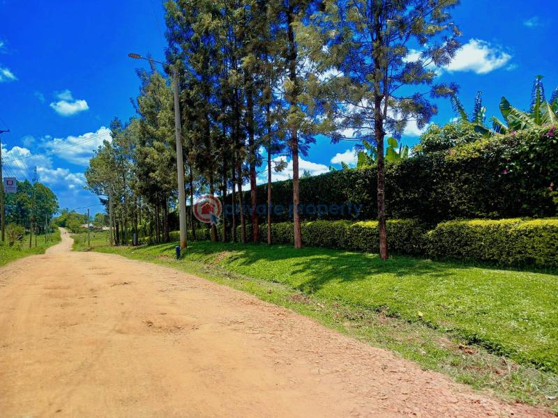 Residential Land For Sale Mugutha Estate, Ruiru mugutha Ruiru Kiambu - 4
