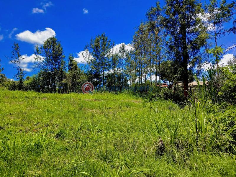 Residential Land For Sale Mugutha Estate, Ruiru mugutha Ruiru Kiambu - 3