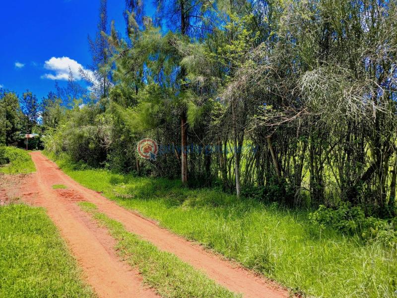 Residential Land For Sale Mugutha Estate, Ruiru mugutha Ruiru Kiambu - 2