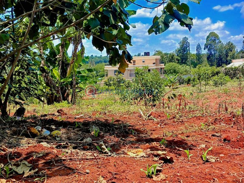 Residential Land For Sale Mugutha Estate, Ruiru mugutha Ruiru Kiambu - 5