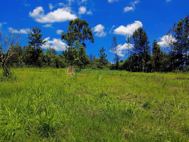 Residential Land For Sale Mugutha Estate, Ruiru mugutha Ruiru Kiambu - 6