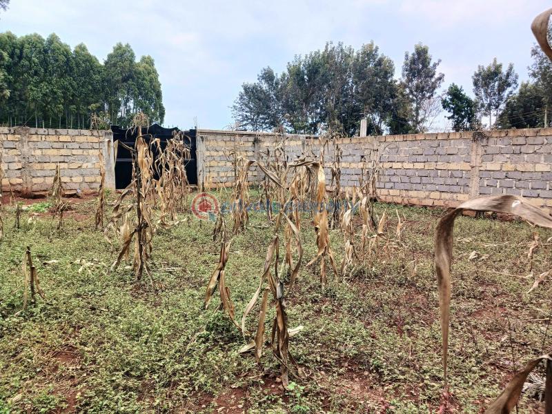 Commercial Land For Sale Mugutha, Ruiru mugutha Ruiru Kiambu - 7
