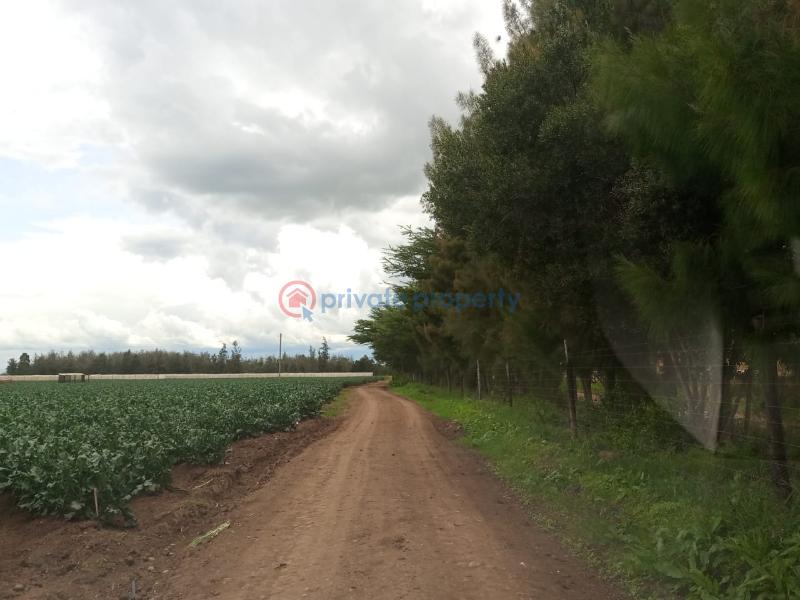 Commercial Land For Sale Muramati, Nanyuki Laikipia - 3