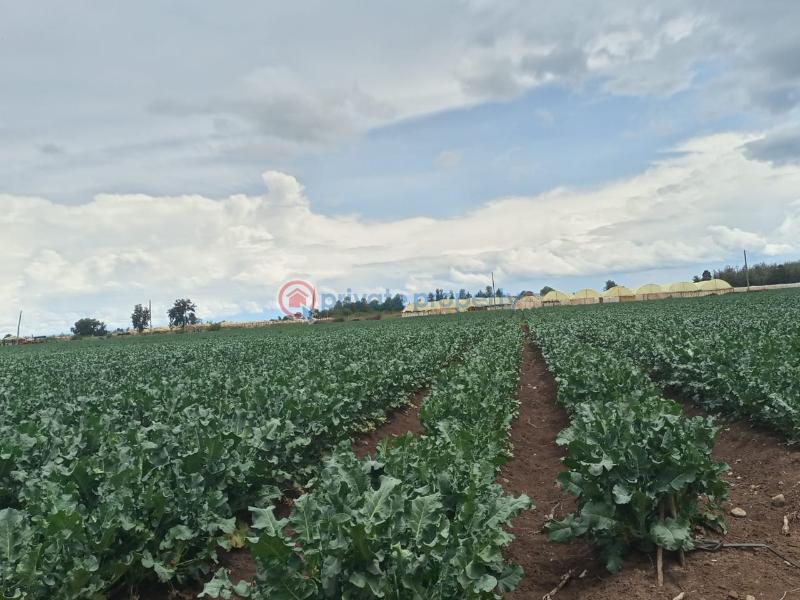 Commercial Land For Sale Muramati, Nanyuki Laikipia - 4