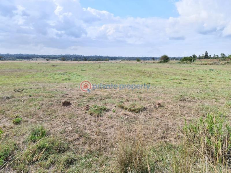 Commercial Land For Sale Muramati Nanyuki, In Loldaiga Hills Nanyuki Laikipia - 6