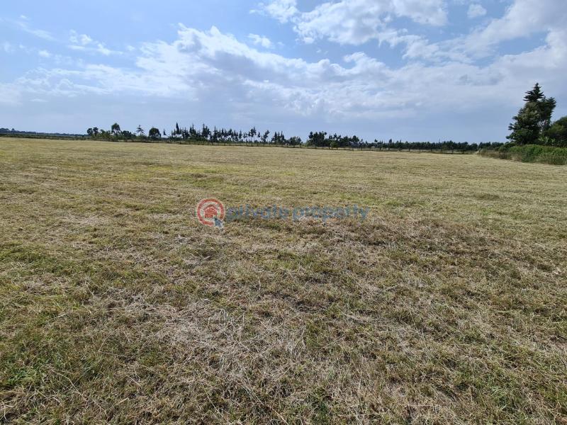 Commercial Land For Sale Muramati Nanyuki, In Loldaiga Hills Nanyuki Laikipia - 5