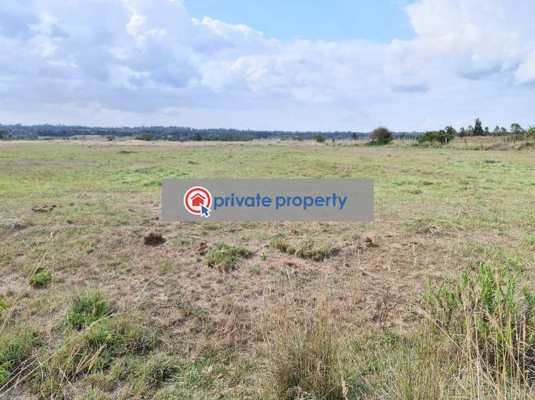 Commercial Land For Sale &nbsp;muramati Nanyuki In Loldaiga Hills Nanyuki Laikipia - 7