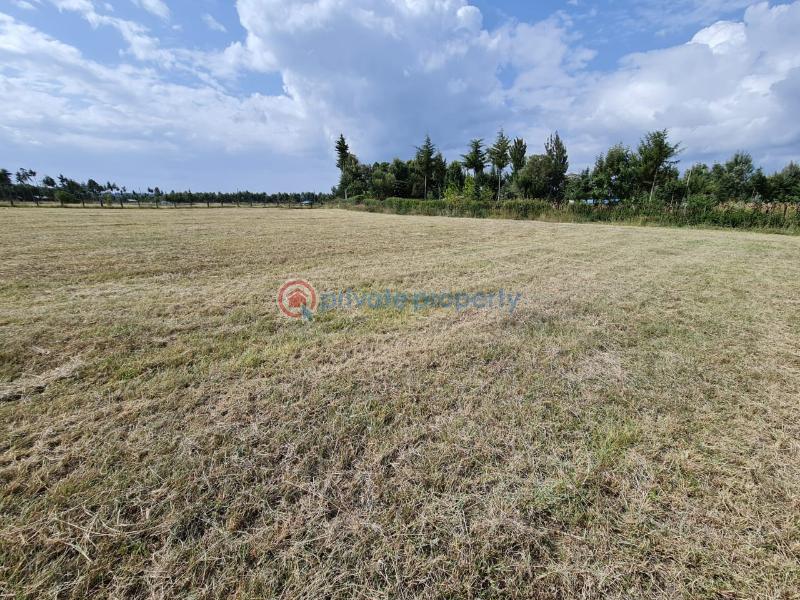Commercial Land For Sale Muramati Nanyuki, In Loldaiga Hills Nanyuki Laikipia - 3