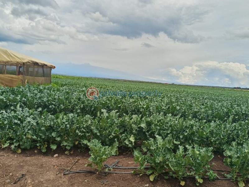 Commercial Land For Sale Muramati, Nanyuki Laikipia - 1