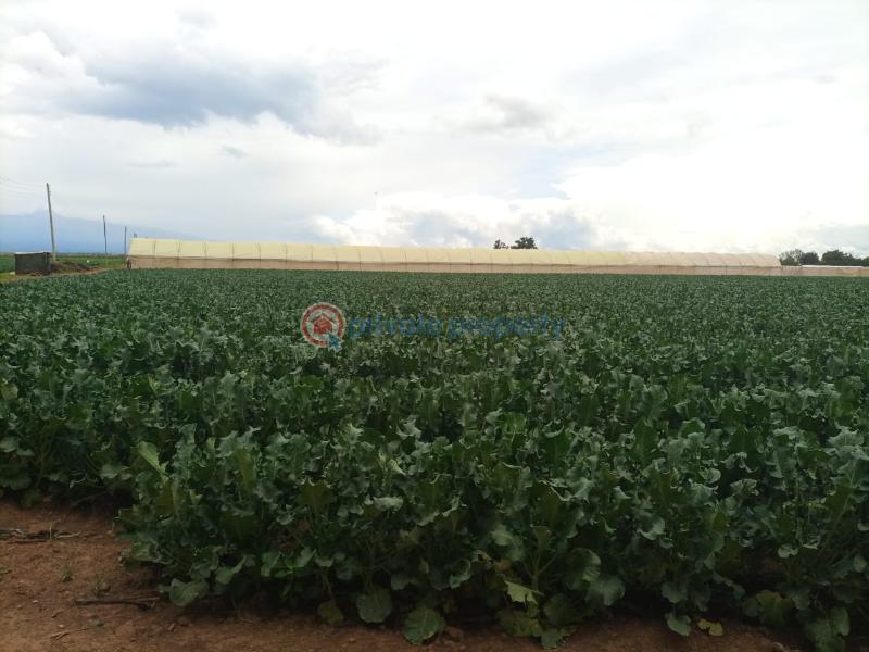 Commercial Land For Sale Muramati, Nanyuki Laikipia - 2