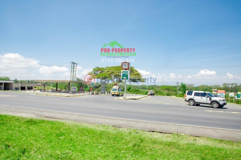 Residential Land For Sale Near Enashipai moi South Lake Road Naivasha East Nakuru - 14