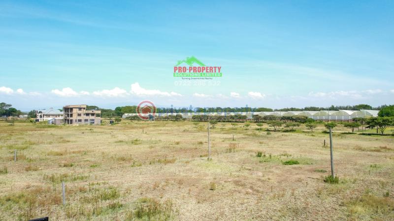 Residential Land For Sale Near Enashipai moi South Lake Road Naivasha East Nakuru - 3