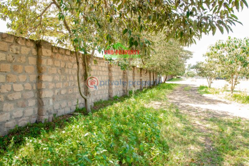 Residential Land For Sale Near Enashipai moi South Lake Road Naivasha East Nakuru - 10