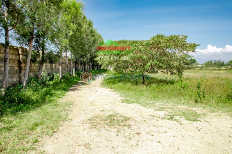 Residential Land For Sale Near Enashipai moi South Lake Road Naivasha East Nakuru - 12