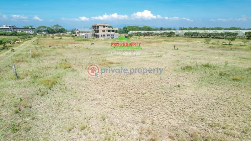 Residential Land For Sale Near Enashipai moi South Lake Road Naivasha East Nakuru - 9