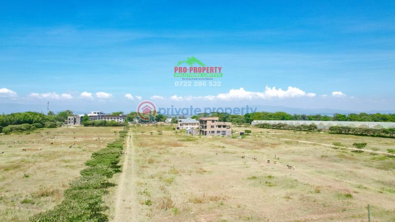 Residential Land For Sale Near Enashipai moi South Lake Road Naivasha East Nakuru - 6