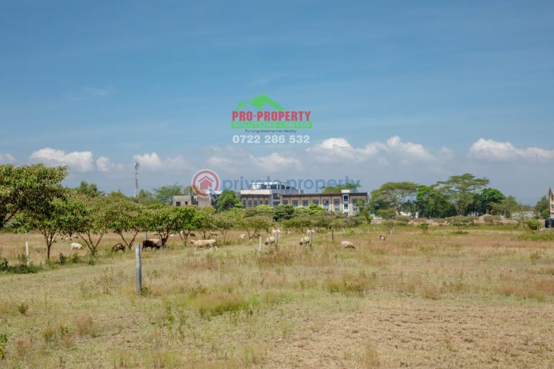 Residential Land For Sale Near Enashipai moi South Lake Road Naivasha East Nakuru - 8